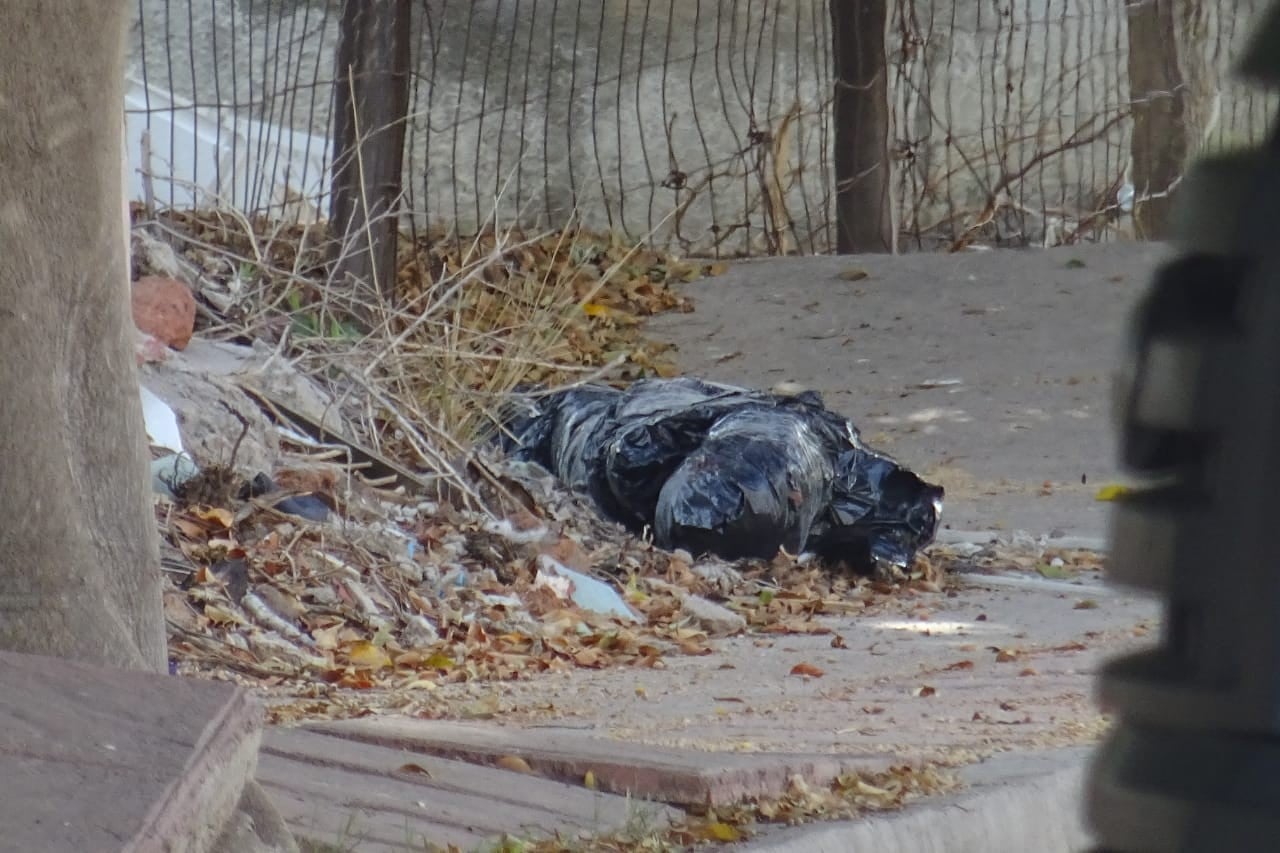 Vive León mañana violenta