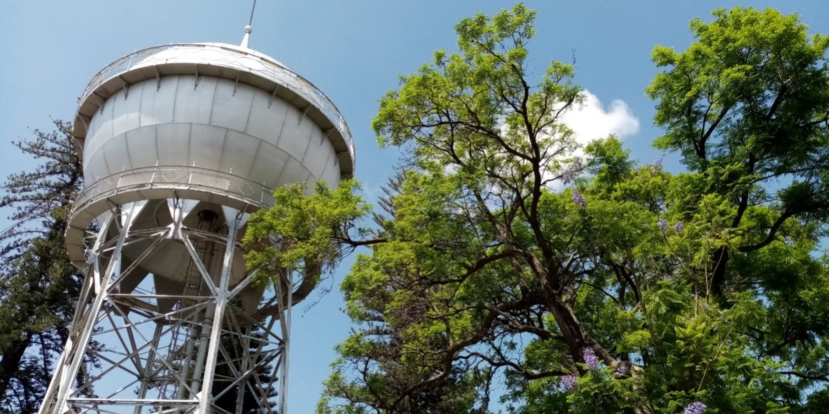 Lidera Celaya defunciones por coronavirus en Guanajuato