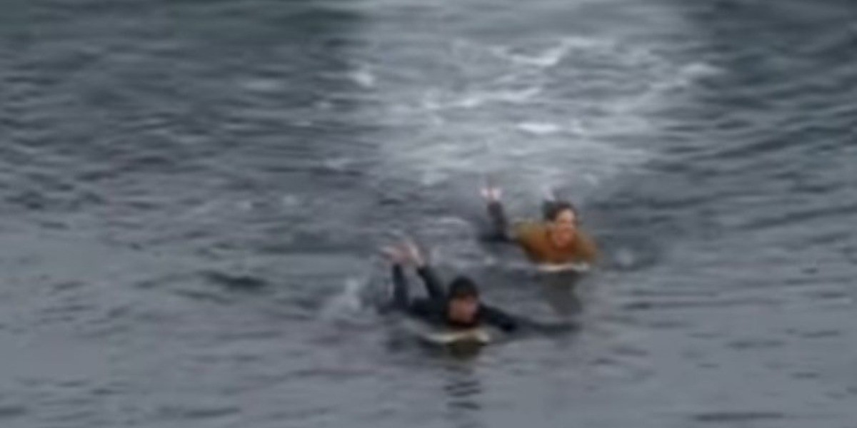 #VIDEO | Surfista sobrevive a ataque de tiburón tras golpearlo