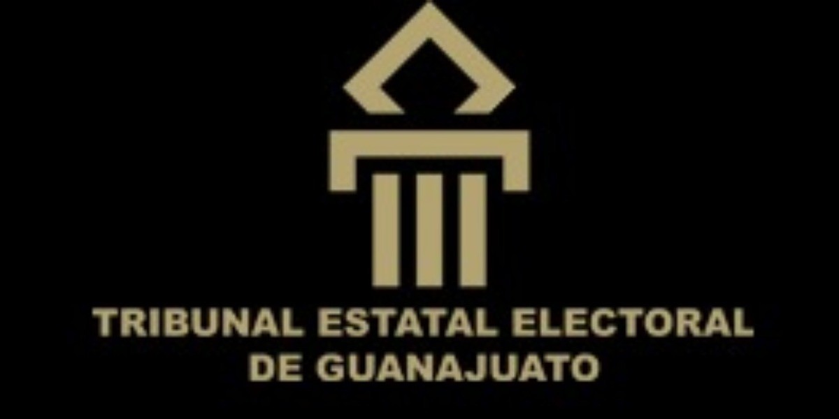 Buscan que el Tribunal Electoral de Guanajuato defina a su contralor