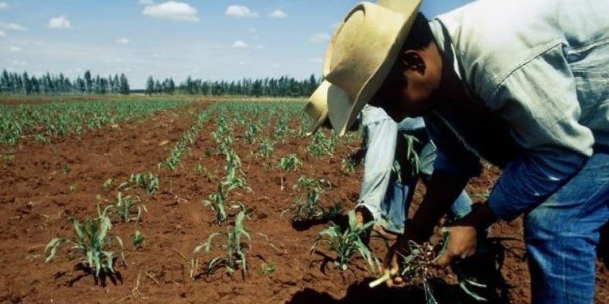 Reconectar energía eléctrica para el campo, pedirán diputados a la Federación