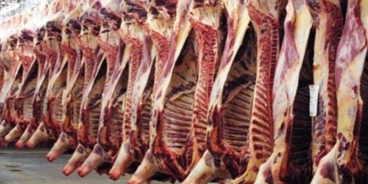 Buscan terreno para nuevo rastro municipal