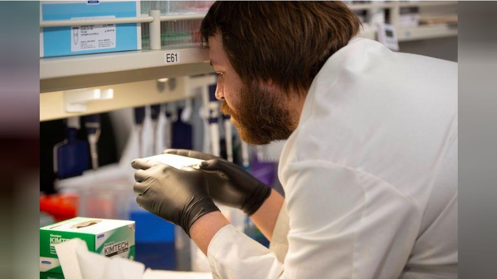 Suspende OMS ensayo clínico con hidroxicloroquina