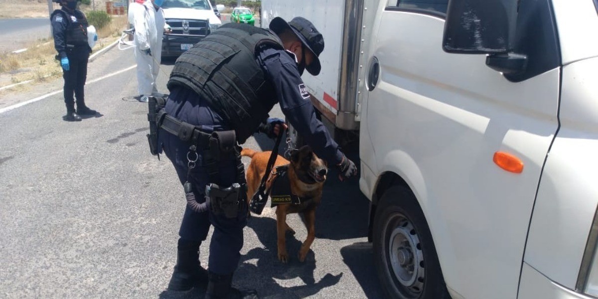 Revisan a hombre en filtro sanitario y perro policía le encuentra droga