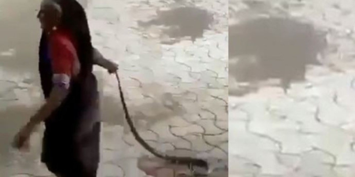 Anciana saca a cobra viva de su casa ¡con la mano!