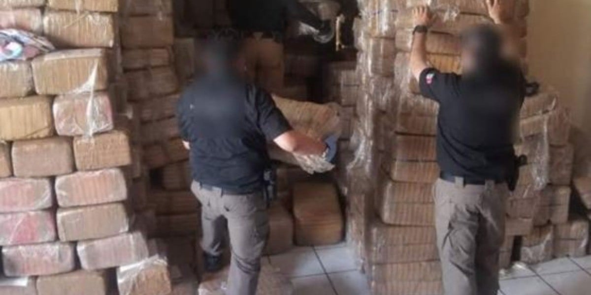 Realizan decomiso millonario de droga en Baja California