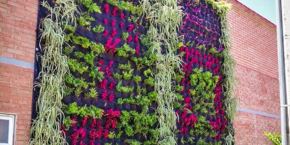 Colocan Muro Verde en San Francisco del Rincón