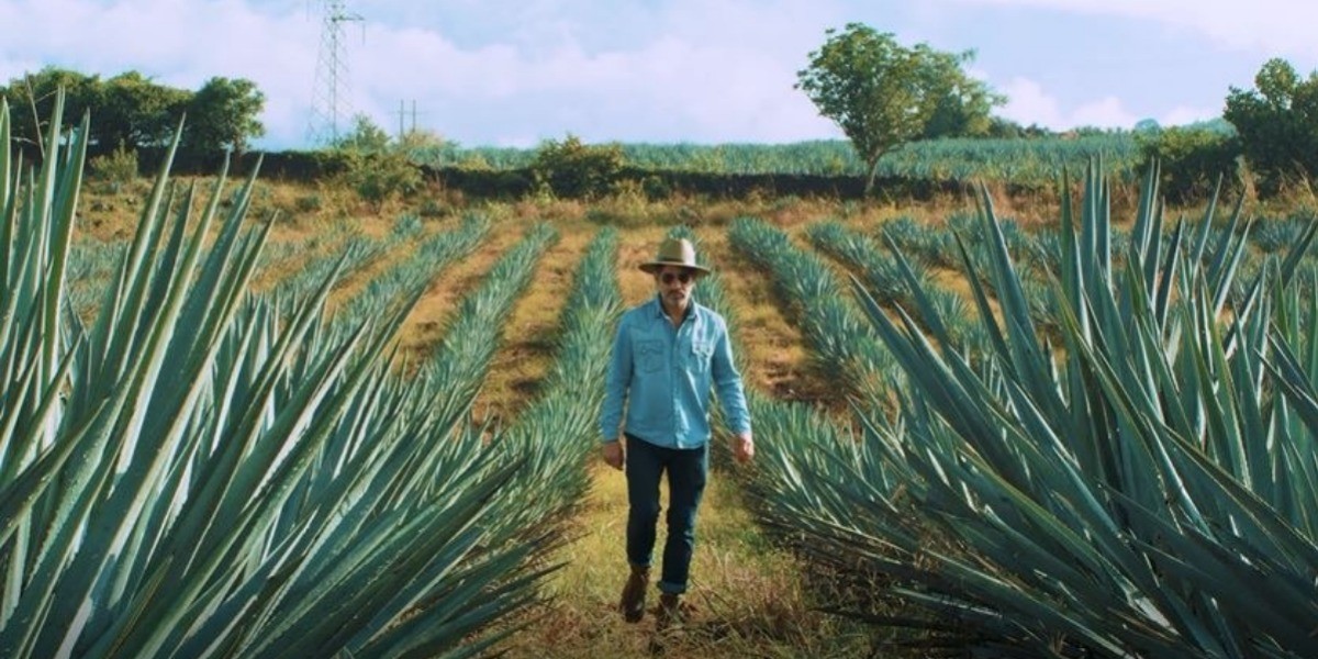 Brilla Destilando México, exitoso documental del mundo del tequila en Guanajuato