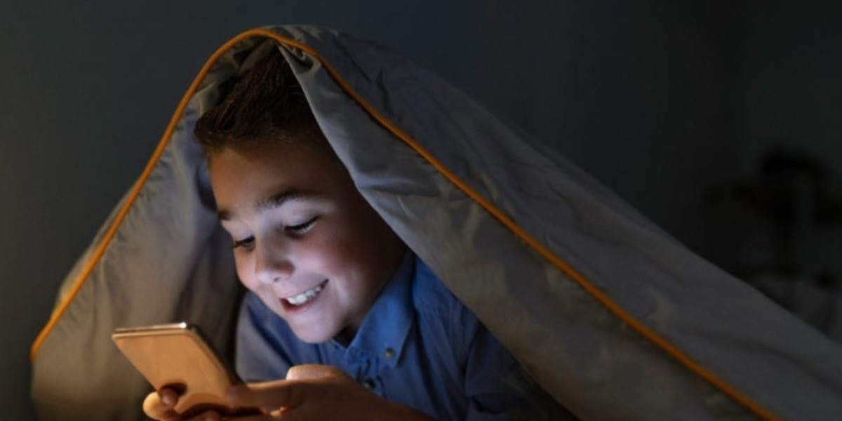 El 39% de los niños navegan en la red sin supervisión