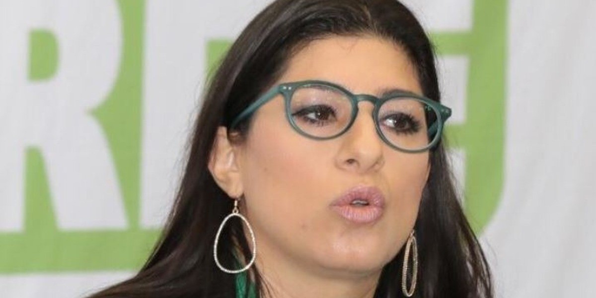 Busca PVEM crear nueva Ley para defender los derechos LGBTI