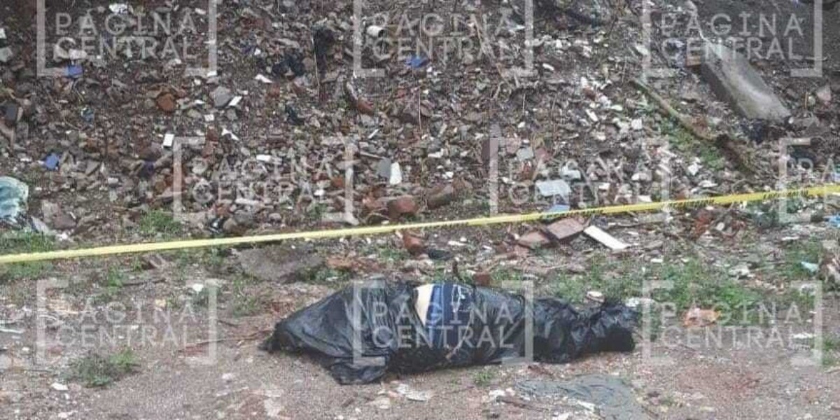 Encuentran otro cuerpo en Palenque de Ibarrilla