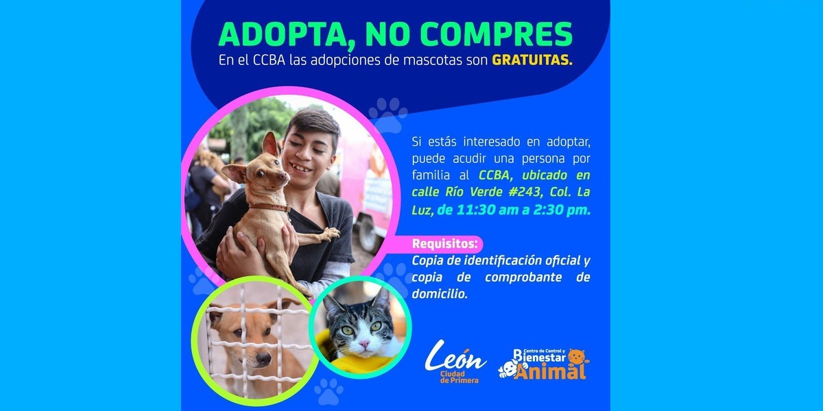 Fomentan adopción y esterilización de mascotas en León