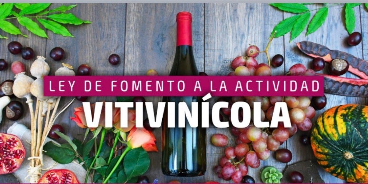 Proponen nueva ley vitivinícola para Guanajuato