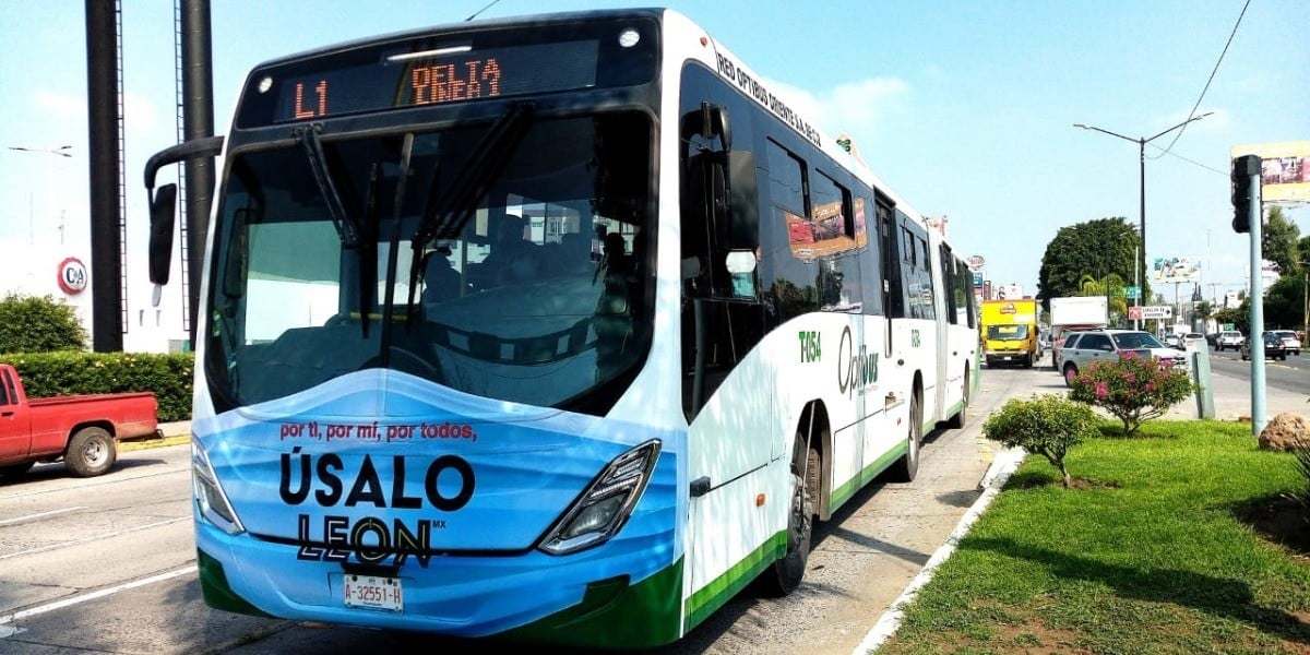 Le ponen cubrebocas a las orugas