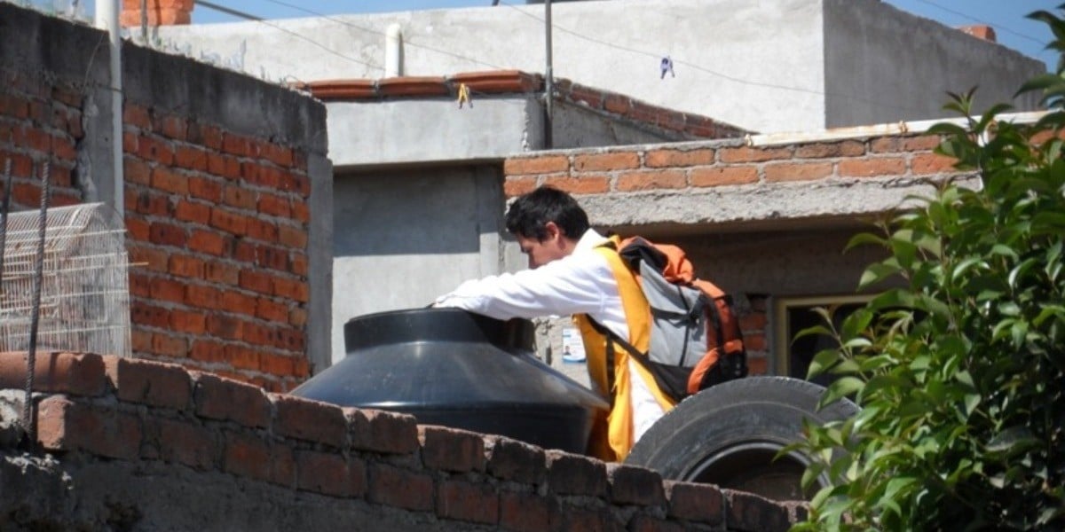 Prevén incremento de casos de dengue en Guanajuato