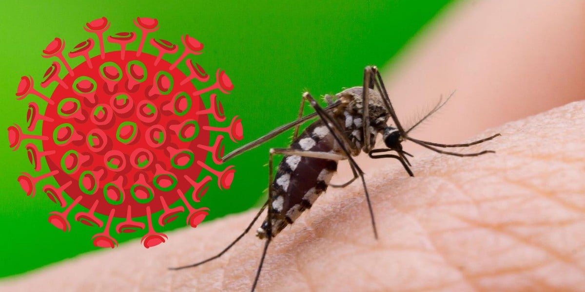 Detectan primer caso de covidengue en la colonia El Rosario