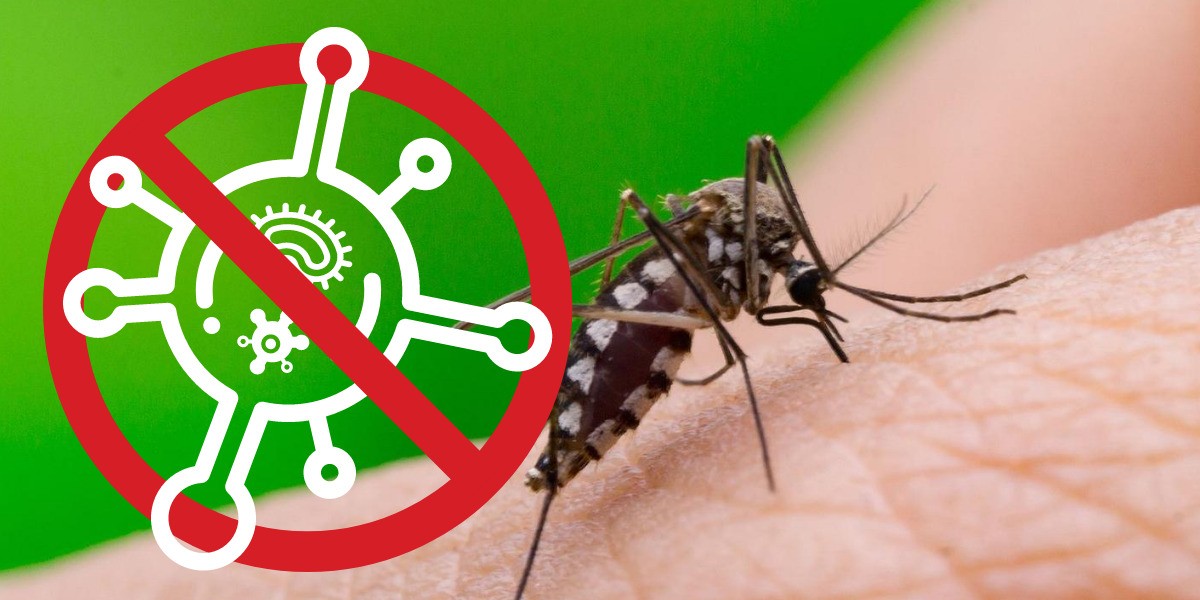 Desmiente IMSS a autoridades de la SSG sobre caso de covidengue