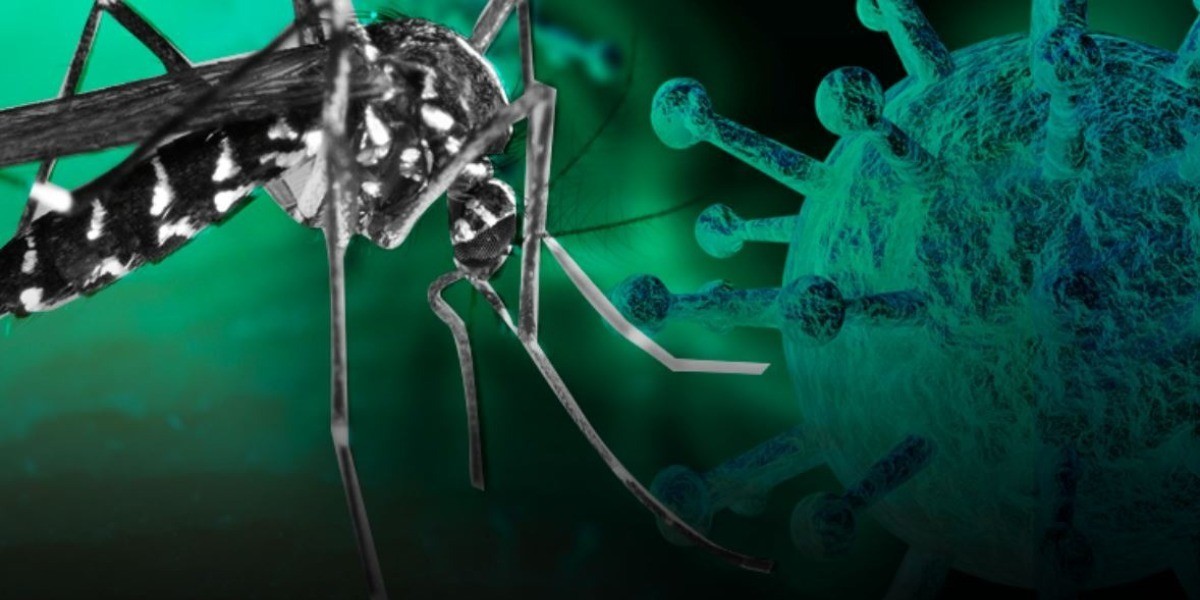 Dengue podría dar inmunidad ante COVID-19, según estudio