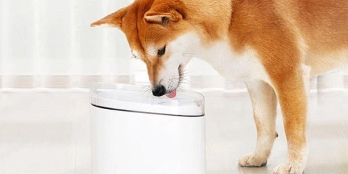 Xiaomi inventó un dispensador inteligente de agua para perros