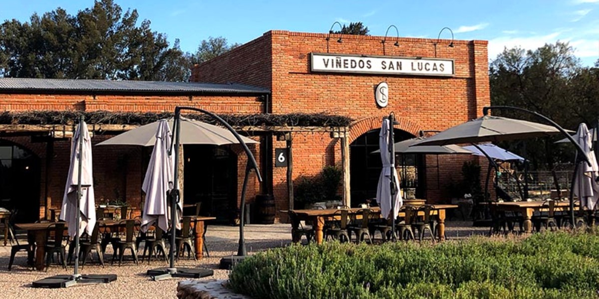 Presentan encuentro vinícola Vinum Guanajuato 2020