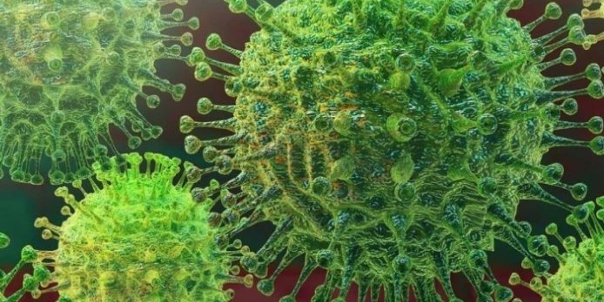 Hallan molécula que podría 'destruir' al coronavirus