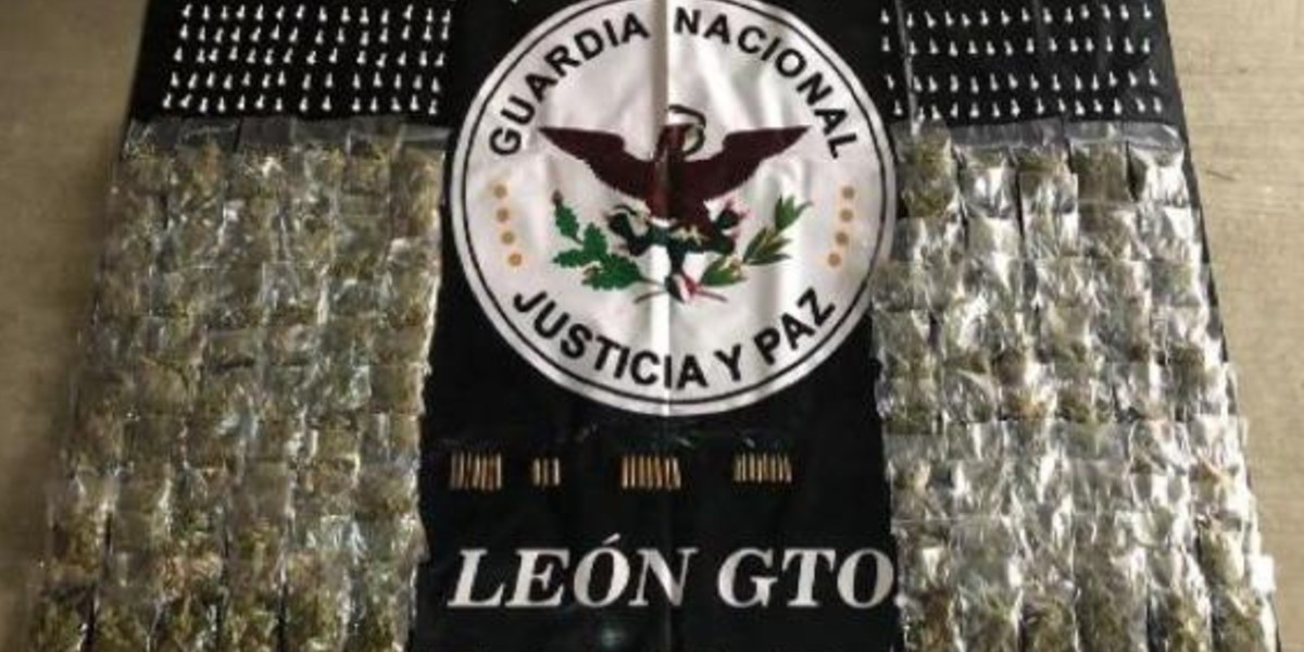 'Guanajuato Seguro' logra decomisar hasta 131 mil dosis de drogas
