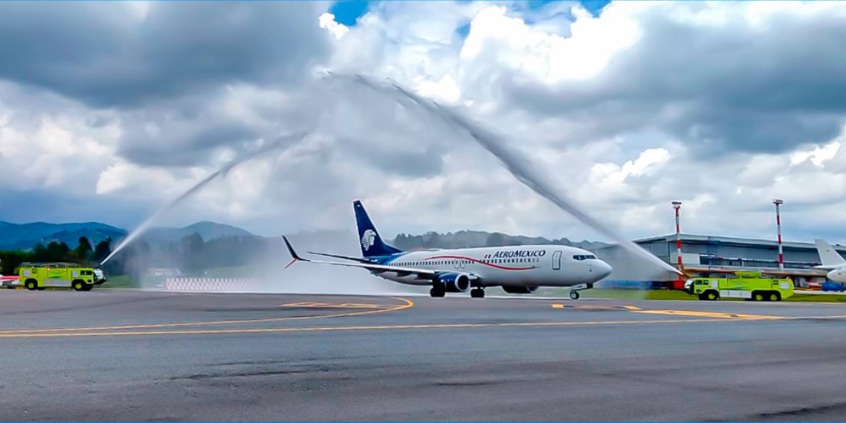 Aprueban apoyo de mil millones de dólares para Aeroméxico