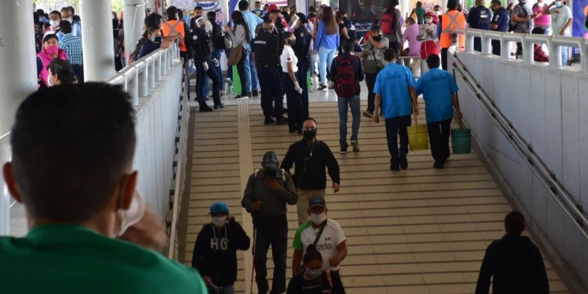 Niega OMS que 'inmunidad del rebaño' sirva contra el COVID-19