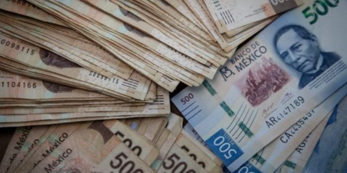 Firman contra extinción de fideicomisos en México más de 700 científicos de Harvard y Oxford