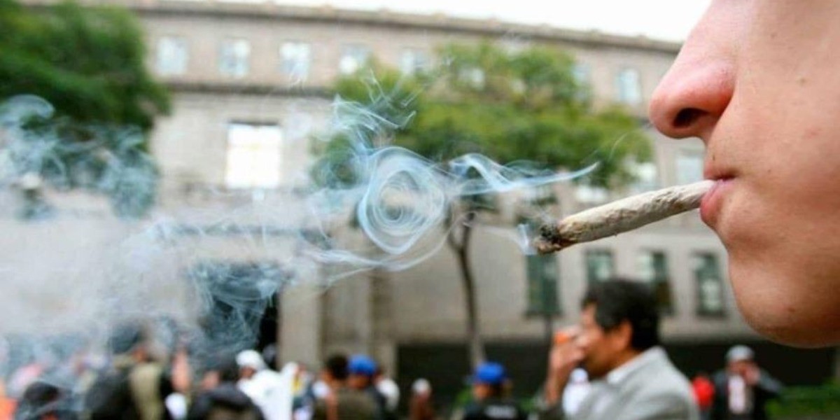 Panistas se oponen a aumentar la dosis para portar marihuana lúdica