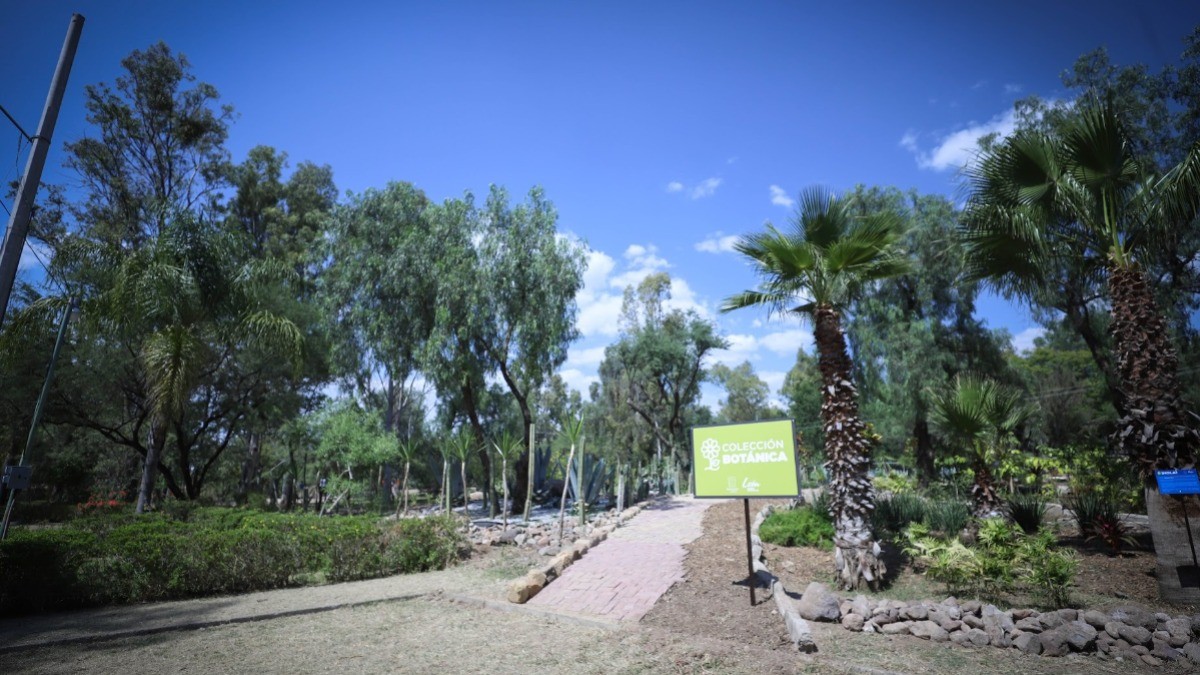 ¿Ya conoces el nuevo Parque Vivero de León?