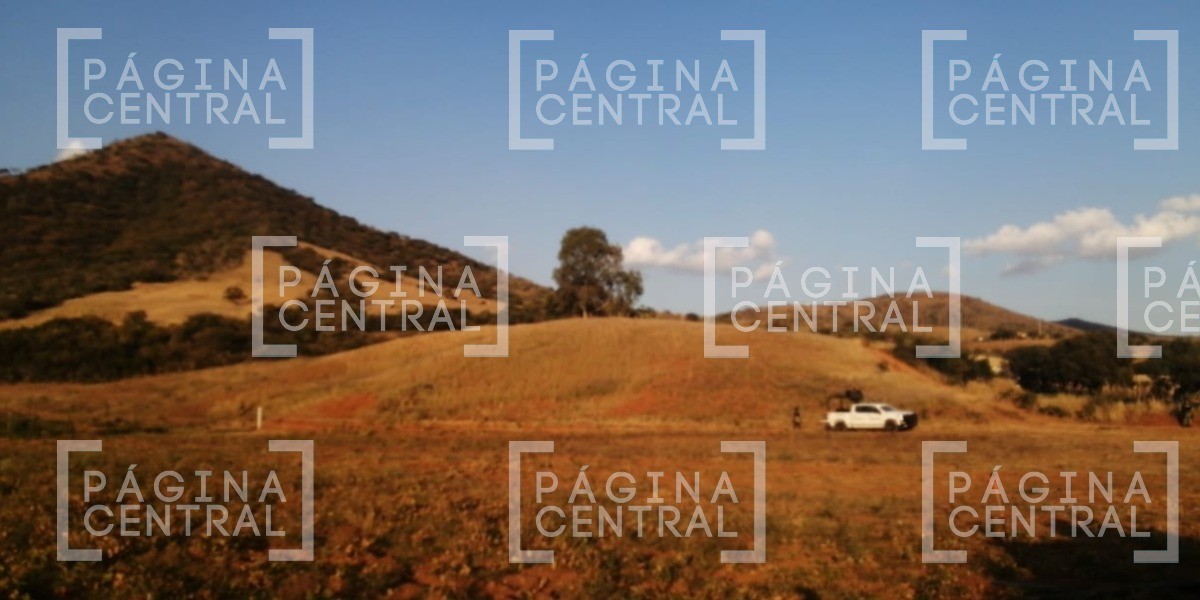 Asegura Guardia Nacional narcolaboratorio en Duarte