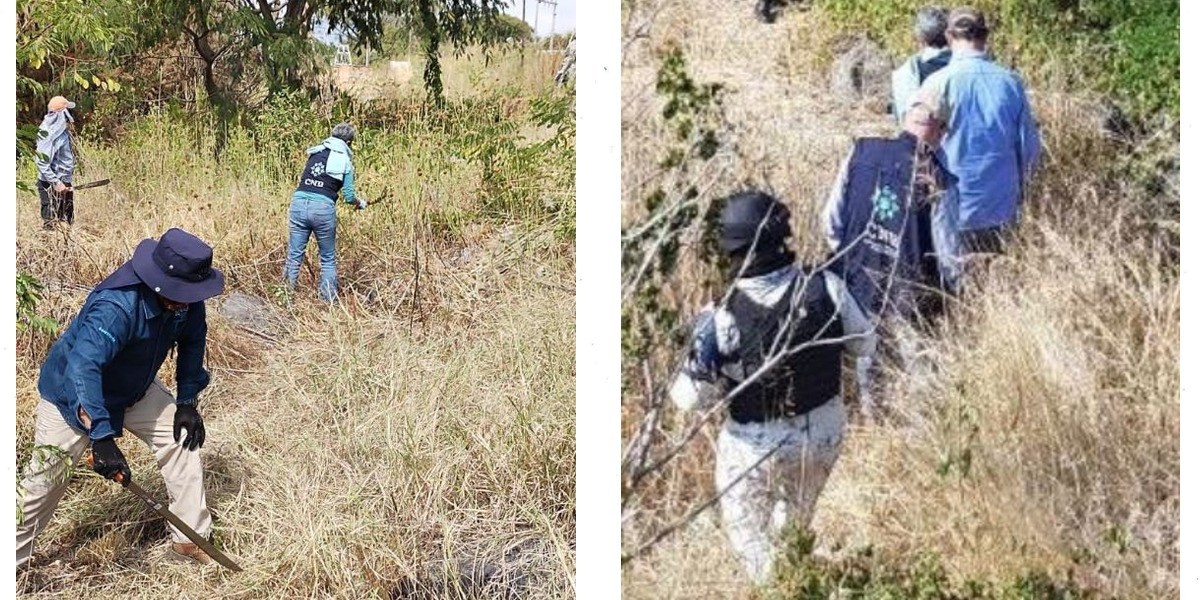 Registra Guanajuato histórico hallazgo de 59 cuerpos en fosas clandestinas