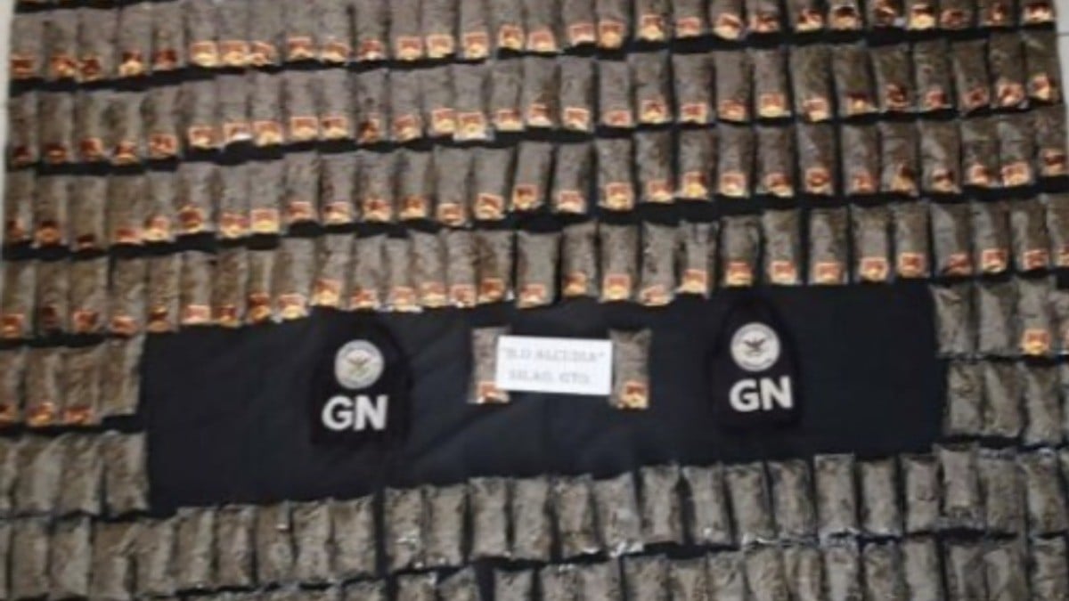 Aseguran casi 59 mil dosis de droga y 47 armas