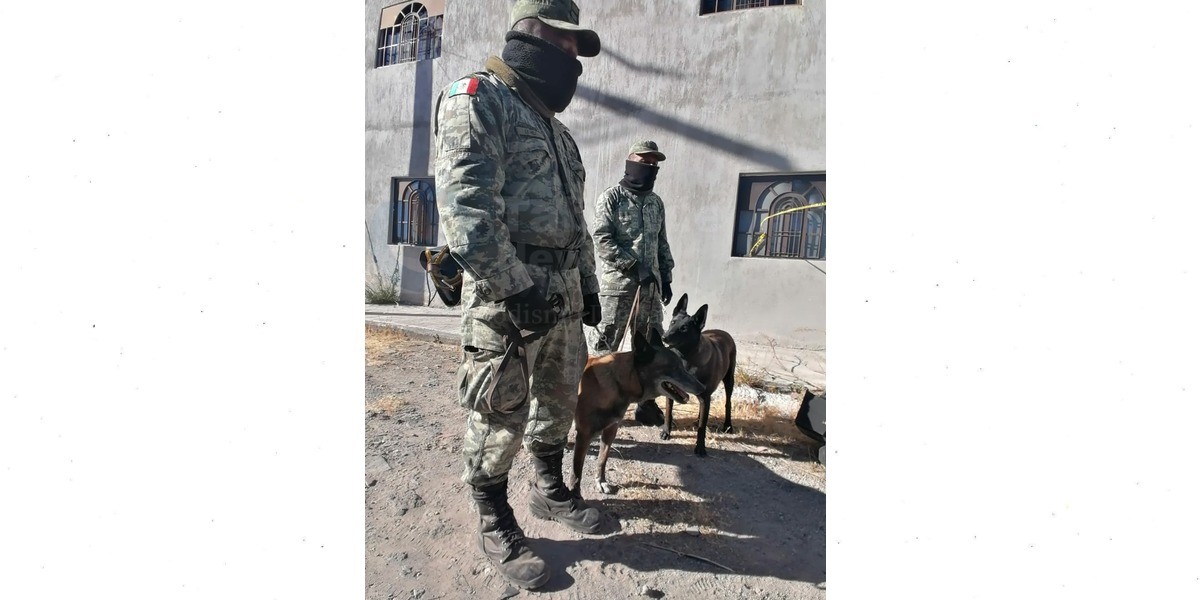 Pachuli y Roma, los 'detectives' que han localizado los cuerpos en Salvatierra