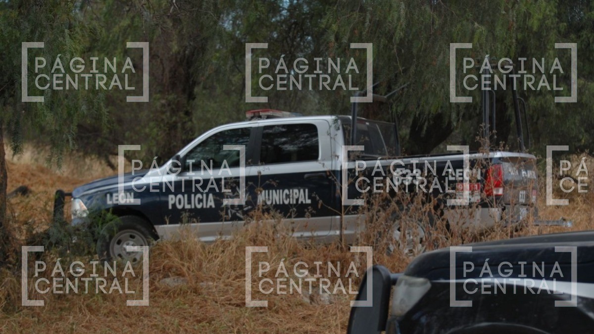 Hallan cuerpo de mujer con huellas de violencia