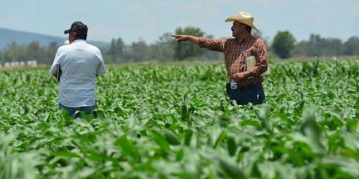 Campo sobrevive pese a recortes federales y a la pandemia