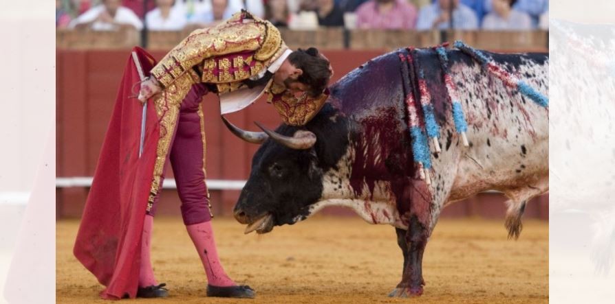 No será la tauromaquia Patrimonio Cultural de la Humanidad