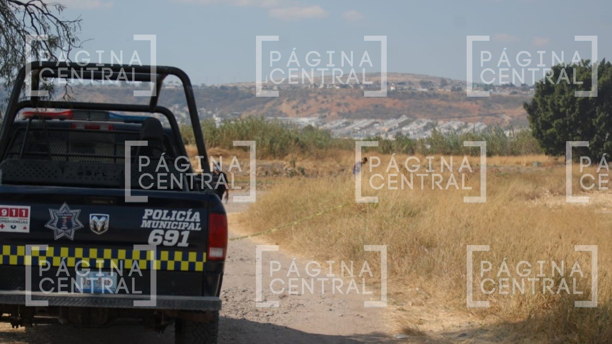 Hallan a hombre muerto en campos de cultivo