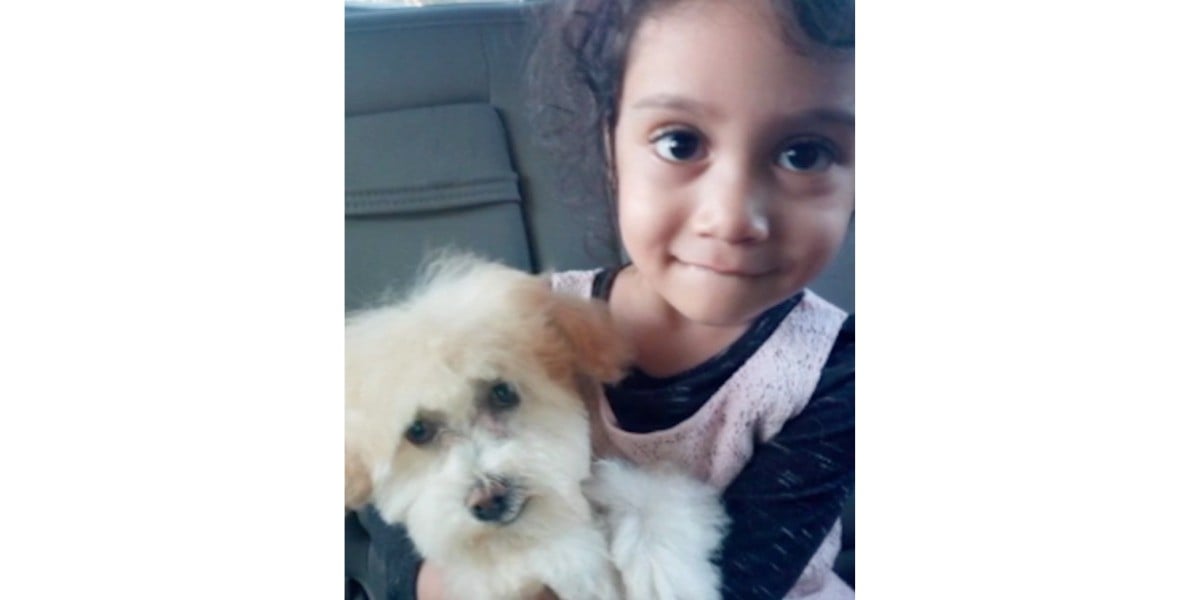 ¡Únete y dona para que Sofi pueda tener un perrito de apoyo!