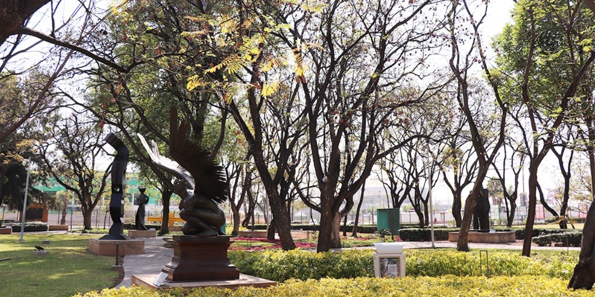 Proyectan acciones para mitigar el cambio climático en León