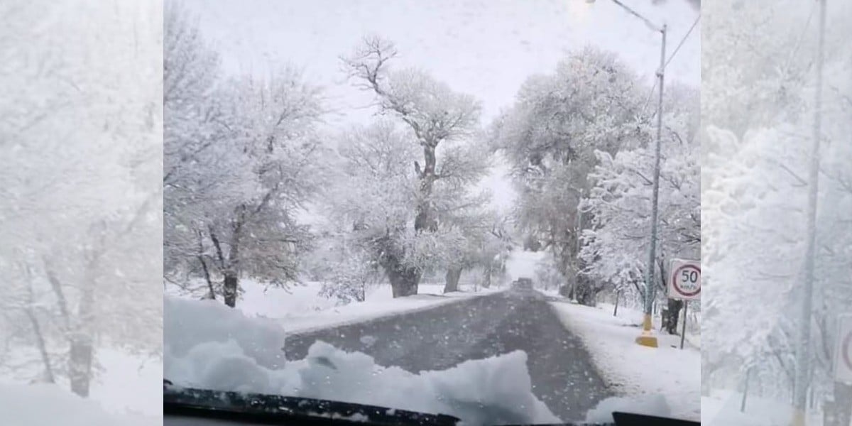 Nieve deja hermosas postales navideñas en Chihuahua