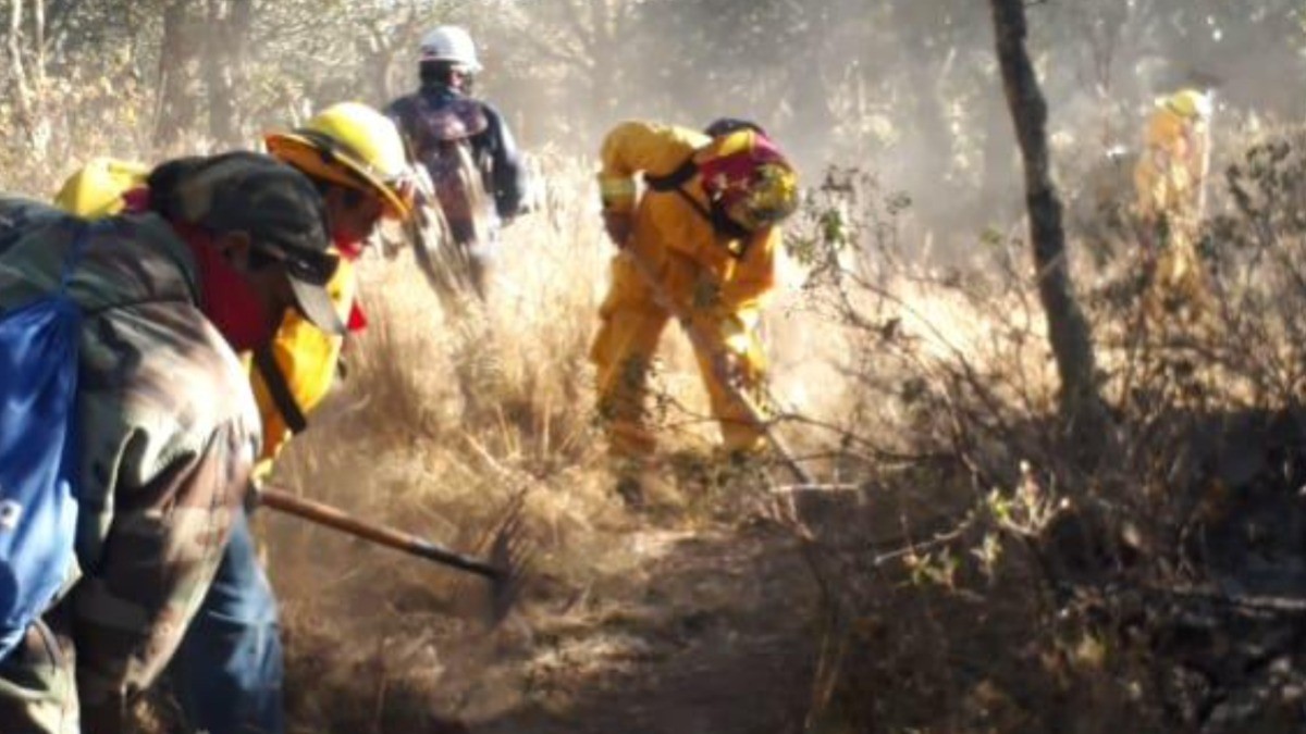 Extinguen en su totalidad incendio forestal en la Sierra del Cubo en San Felipe