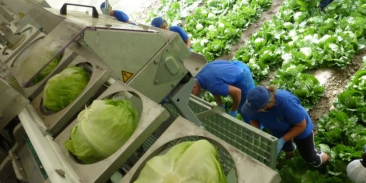 “Guanajuato debe aprovechar T-MEC”