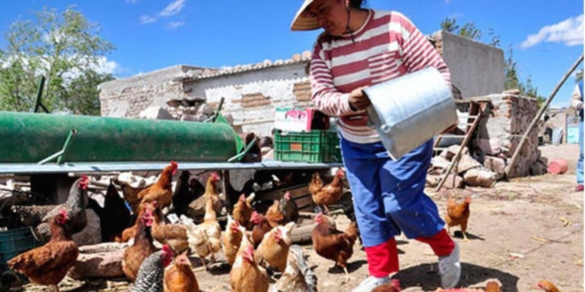 Campo leonés, el más fortalecido aún en pandemia