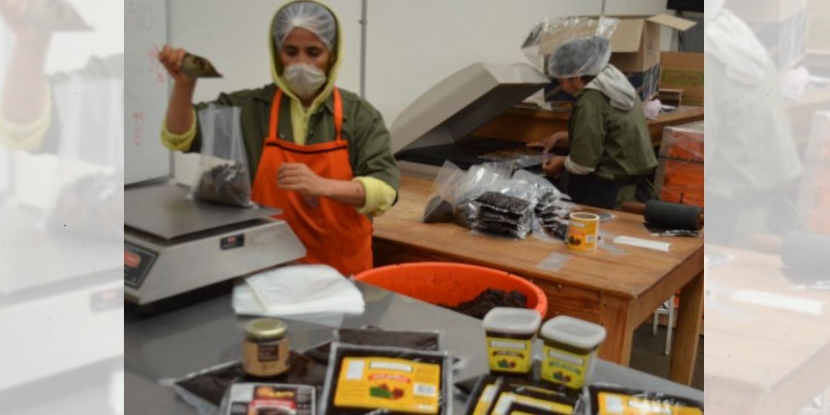 Reportes comerciales brindan soporte a empresas exportadoras: Cofoce