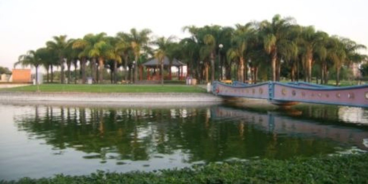 Expulsan fauna del lago del Parque Explora