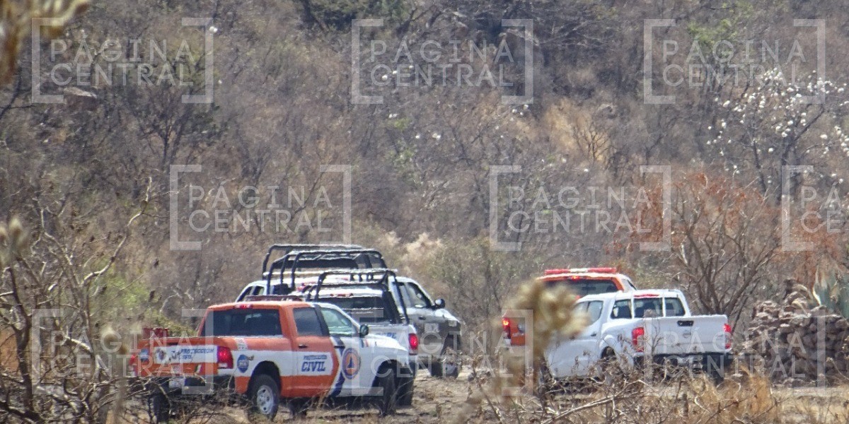 Barranca de Venaderos, punto de búsqueda de personas desaparecidas