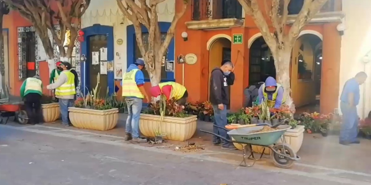 Descartan peatonalización de calle Altamirano