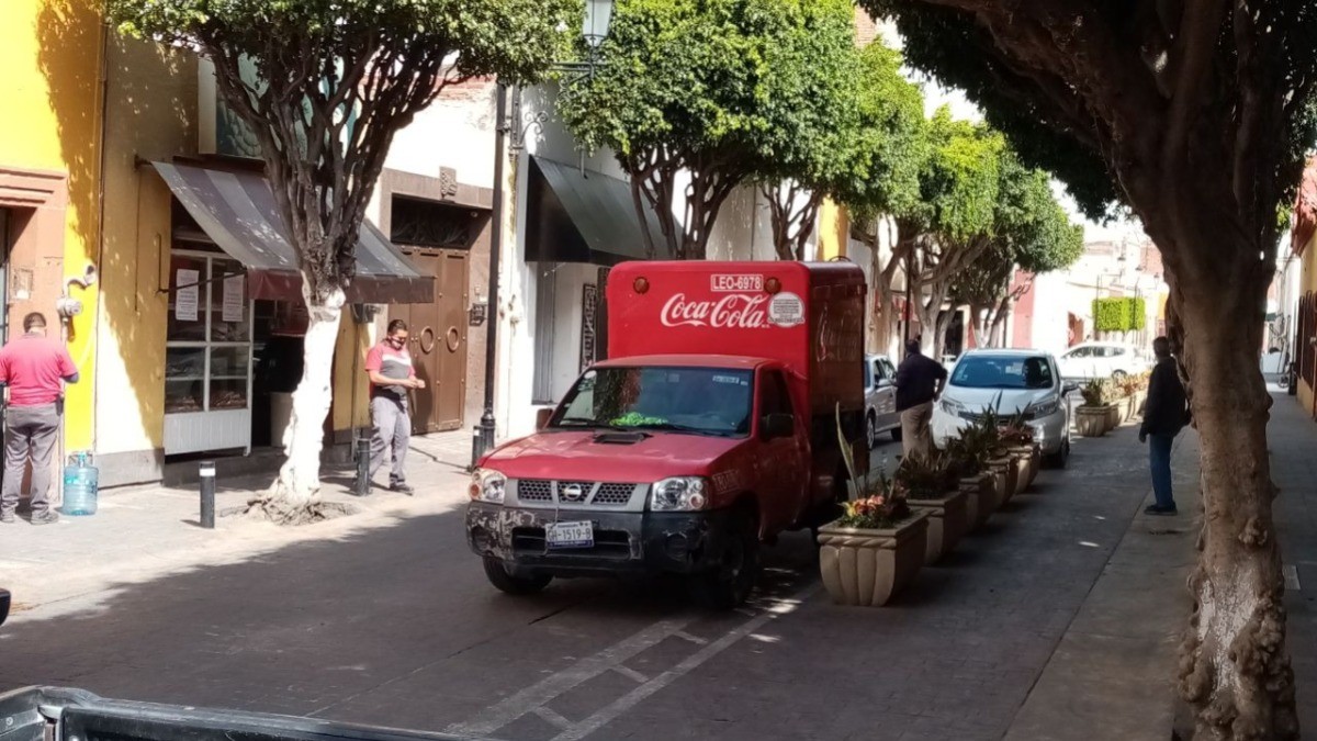 Caen ventas por jardineras: comerciantes de calle Altamirano